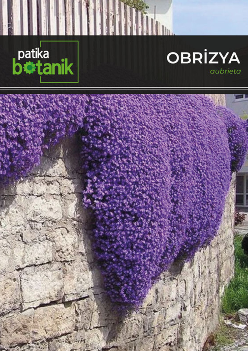 Patika Botanik | Tohumlar, Sebze Tohumları, Çiçek Tohumları, Bitkiler, Çiçek Soğanı, Bahçe Malzemeleri, Toprak, Gübre, İlaç, Çim Alternatifi Bitkiler, Sırık Barbunya Tohumu, Renkli Kapya Biber Tohumu, Kırmızı Kıvırcık Marul Tohumu, Kaliforniya Biber Tohumu, Enginar Tohumu, Çizgili/Alaca Patlıcan Tohumu, Zinna Çiçek Tohumu, Şebboy Tohumu, Süs Ayçiçeği Tohumu, Obrizya Çiçek Tohumu, Lobelya Çiçek Tohumu, İngiliz Lavatası Tohumu, Dahlia Çiçek Tohumu, Aster Çiçeği Tohumu, Mor Soğan Tohumu, Sarı Süs Biber Tohumu, Kök Kereviz Tohumu, Mor Havuç Tohumu, Göbek, İceberg Marul Tohumu, Çin Turp Tohumu, Cin Mısır Tohumu, Sakız Bakla Tohumu, Yaprak Bezelye Tohumu, Kırmızı (MOR) Lahana Tohumu, Kuru Fasulye Tohumu, Kişniş Tohumu (Aşotu), Karnabahar Tohumu, Brüksel Lahana Tohumu, Börülce Tohumu, Ananas Kavun Tohumu, Mine (Verbena) Çiçek Tohumu, Vapur Dumanı (Ageratum Houstanianum) Çiçek Tohumu, Haseki Küpesi Çiçek Tohumu, İpek - Şellaki (portulaca Grandiflora) Çiçek Tohumu, Hanımeli (Turşuluk) Oturak Fasülye Tohumu, Eymen Oturak Fasülye Tohumu, Oturak Fasulye Tohumu, Mavi Ateş Çiçeği Tohumu, Ayçiçeği Tohumu, Tilki Kuyruğu (Amaranthus Caudatus) Çiçek Tohumu, Sille Gülü, Saray Patı (kasım Patı) Çiçek Tohumu, Samanyolu ( Cosmos L.) Çiçek Tohumu, Karagöz (Tagetes L.) Çiçek Tohumu, Hercai Menekşe (Viola) Çiçek Tohumu, Gece Güzeli (Datura L.) Çiçek Tohumu, Çan (Campanula L.) Çiçek Tohumu, Nane (Mentha) Çiçek Tohumu, Kudret Narı Tohumu, Kadife Çiçek Tohumu, Hatim Çiçeği (Aalcea Rosea) Çiçek Tohumu, Gelincik Çiçek Tohumu, Çin Karanfili (Dianthus Chinensis) Çiçek Tohumu, Boru (PETUNYA) Çiçek Tohumu, Beybeğendi Çiçeği Tohumu, Top Fesleğen - Top Reyhan Çiçek Tohumu, Mavi Sarmaşık Çiçek Tohumu, Kuşağzı Çiçek Tohumu, Sarmaşık Çilek Tohumu, Altın Papatya Tohumu, Alman Papatya Tohumu, Akşam Sefası Tohumu, Adaçayı Tohumu, Makedon Biber Tohumu, Kiraz Biber Tohumu, Karışık Karpuz Tohumu, Kardola Biber Tohumu, Etli Demre Biber Tohumu, Çıtır Biber Tohumu, Alaca Karpuz Tohumu, Acur Tohumu, Üç Burun Köy Biber Tohumu, Topan Patlıcan Tohumu, Tatlı Mısır Tohumu, Sultani Bamya Tohumu, Geniş Yaprak Pazı Tohumu, Pat Biber Tohumu, Oturak Barbunya Tohumu, Kışlık Kıvırcık Marul Tohumu, Kınalı Bamya Tohumu, Kara Lahana Tohumu, Etli Domates Tohumu, Erkenci Domates Tohumu, Botanik Brokoli Tohumu, Bal Kabağı Tohumu, 10 Dilim Çorum Kavun Tohumu, 10 Çeşit Yeşillik Tohumu, 10 Çeşit Sebze Tohumu, Topak Kabak Tohumu, Mor Cin Biber Tohumu, Mor Çiçek Lavanta Tohumu, Papatya Tohumu, Kuşkonmaz Tohumu, Köy Salatalığı Tohumu, Kıvırcık Marul Tohumu, Kara Kabak Tohumu, Kandil Dolma Biber Tohumu, Jalepone Biber Tohumu, Siyah Karpuz Tohumu, Sırık Fasulye Tohumu, Pırasa Tohumu, Misket Biber Tohumu, Kırmızı Pancar Tohumu, Çumra Kavunu Tohumu, Çiçek Bamya Tohumu, Beyaz Lahana Tohumu, Yedikule Marul Tohumu, Semizotu Tohumu, Rio Grande (Bursa, Salçalık) Domates Tohumu, Kuzu Kulağı/Ekşiotu Tohumu, Kırmızı Turp Tohumu, Kapya Biber Tohumu, Çarliston Biber Tohumu, Taze Bezelye Tohumu, Yeşil Soğan Tohumu, Kornişon Salatalık Tohumu (Turşuluk), Kemer Patlıcan Tohumu, Kekik Tohumu, Yerli Ispanak Tohumu (Geniş Yaprak), Karışık Havuç Tohumu - Sarı Turuncu Mor Kırmızı, Fındık Turp Tohumu, Beyaz Sakız Kabak Tohumu, Turşuluk Süs Biberi Tohumu, Sarmaşık - Gündüz Safası Tohumu, Çengelköy Salatalık Tohumu, Yeşil Fesleğen/Reyhan Tohumu, Mor Fesleğen/Reyhan Tohumu, Köy Tipi Domates Tohumu, Cherry Domates Tohumu, Şeker Pancarı Tohumu, Karışık Çiçek Tohumu, Tatlı Kıl Biber Tohumu, Acı Kıl Biber Tohumu, Dere Otu Tohumu, Maydonoz, Roka, Tere, Dere Otu Tohum Seti, Geniş Yapraklı Tere Tohumu, Roka Tohumu, Maydanoz Tohumu